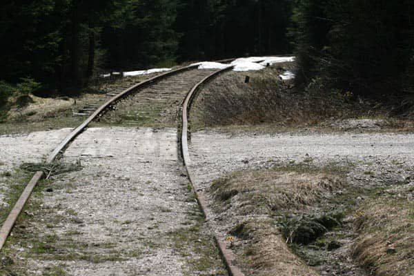Tory do granicy w rękach marszałka