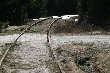 Tory do granicy w rękach marszałka
