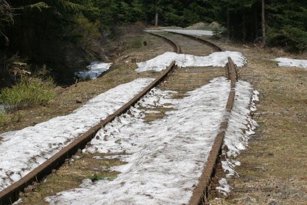Tory do granicy w rękach marszałka
