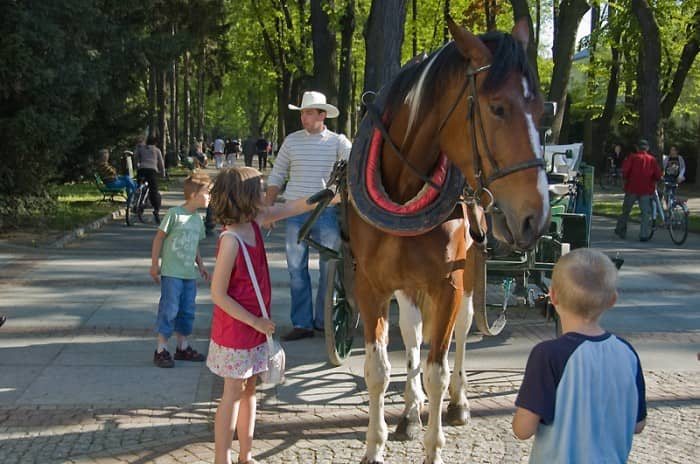 Sielska majówka na start Wiosny Cieplickiej