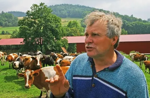 Przez drogę na rzeź