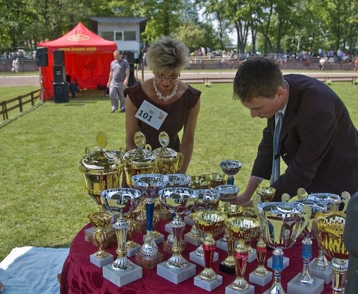 Świat pod psem przy ul. Lubańskiej