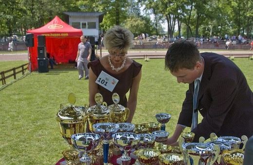 Świat pod psem przy ul. Lubańskiej