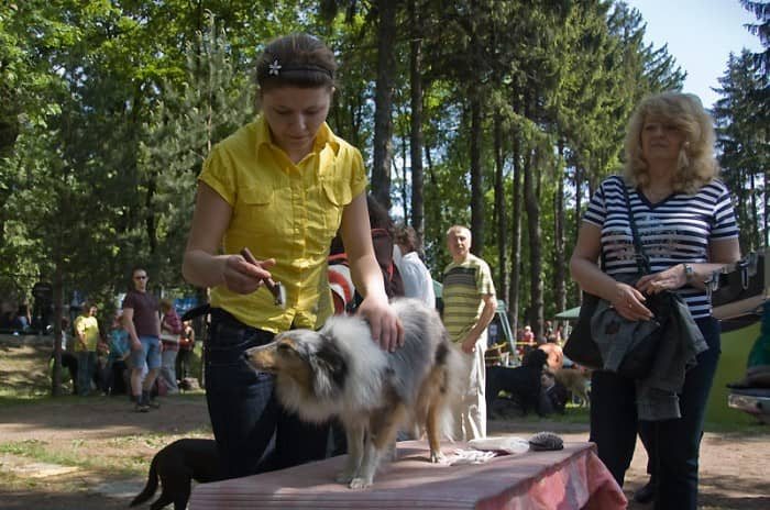 Świat pod psem przy ul. Lubańskiej