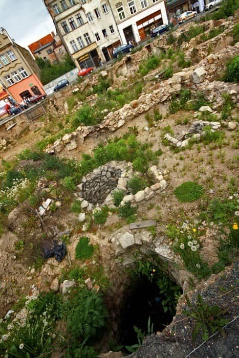 Średniowieczny śmietnik skarbcem dla archeologa – video