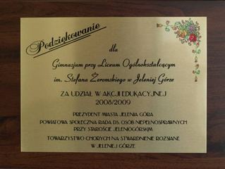 „Niepełnosprawni – pełnosprawni”: bal w Żeromie