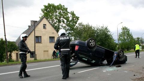 Dachowanie po wódce, z psem na "pokładzie"