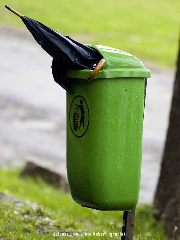 Karkonosze gładko pokonują Pumę