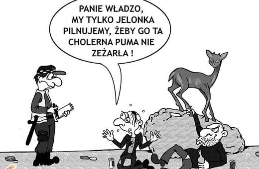 Jelonka pod ochroną