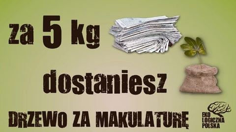 Sadzonki za makulaturę