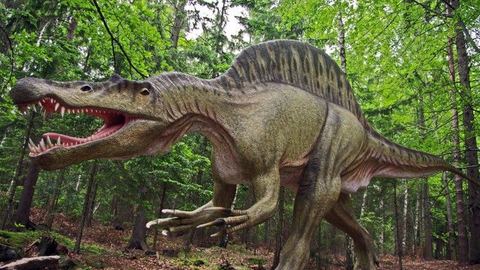Swojski "Jurrasic Park" pod kluczem