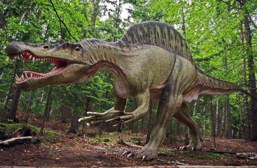 Swojski "Jurrasic Park" pod kluczem