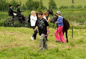 Koń piękny jest – każdy widzi (video)