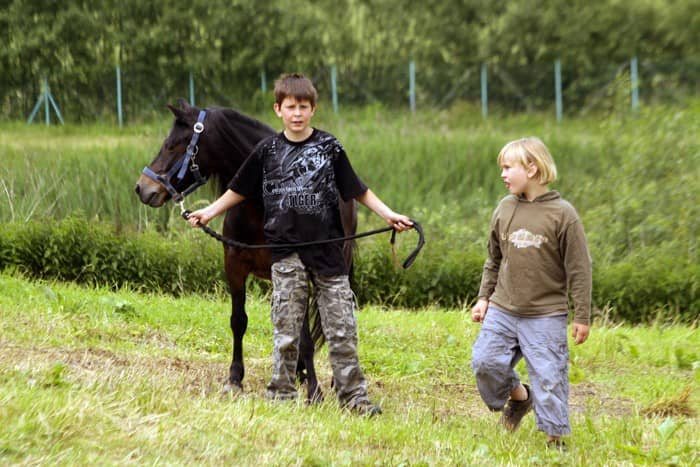 Koń piękny jest – każdy widzi (video)