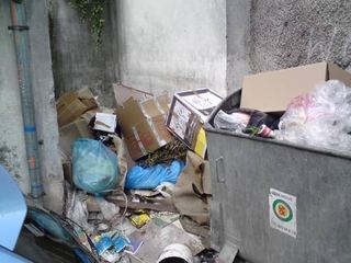 Śmietnik straszy, kto posprząta?