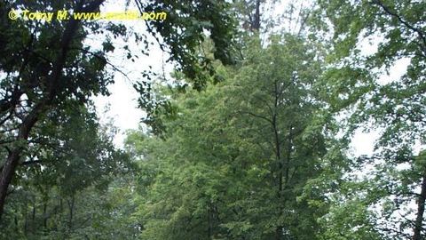 Znowu leje – są kolejne podtopienia (serwis aktualizowany)