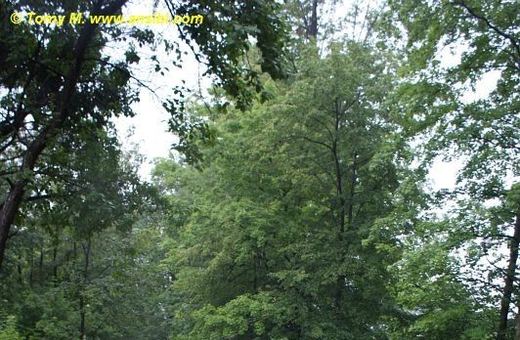 Znowu leje – są kolejne podtopienia (serwis aktualizowany)