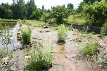 Rakownica pełna wody – niebezpiecznej!