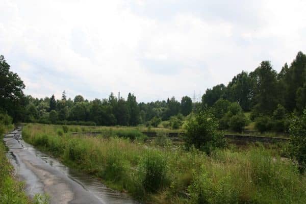 Rakownica pełna wody – niebezpiecznej!