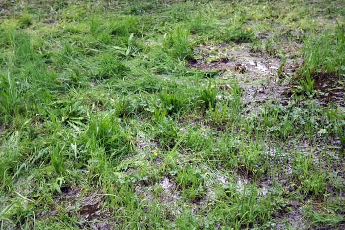 Roztańczony Park Zdrojowy w błocie