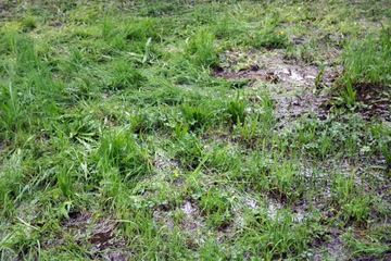 Roztańczony Park Zdrojowy w błocie