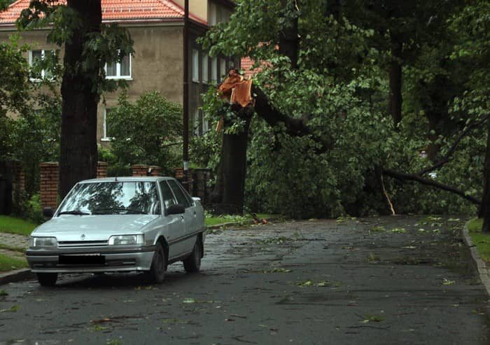 Huragan nad Jelenią Górą – są ofiary w ludziach? – video