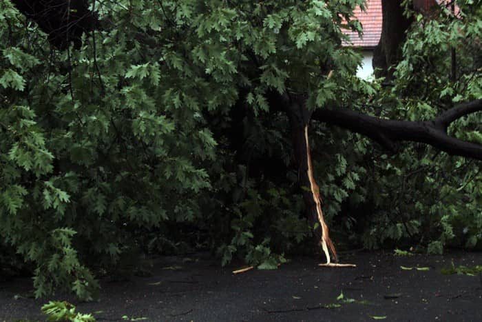 Huragan nad Jelenią Górą – są ofiary w ludziach? – video