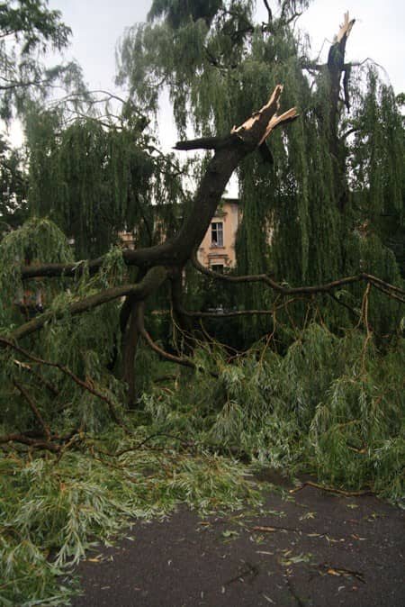 Huragan nad Jelenią Górą – są ofiary w ludziach? – video
