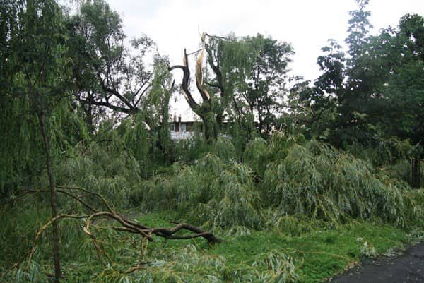 Huragan nad Jelenią Górą – są ofiary w ludziach? – video
