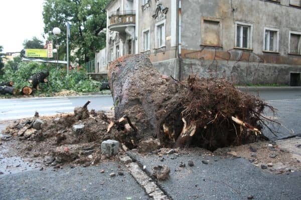 Huragan nad Jelenią Górą – są ofiary w ludziach? – video