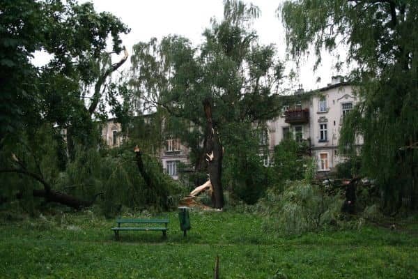 Huragan nad Jelenią Górą – są ofiary w ludziach? – video