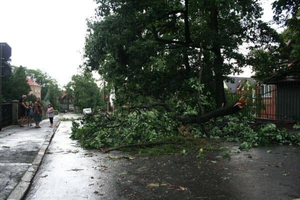 Huragan nad Jelenią Górą – są ofiary w ludziach? – video