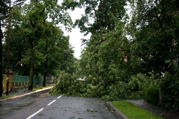 Huragan nad Jelenią Górą – są ofiary w ludziach? – video