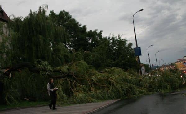 Huragan nad Jelenią Górą – są ofiary w ludziach? – video