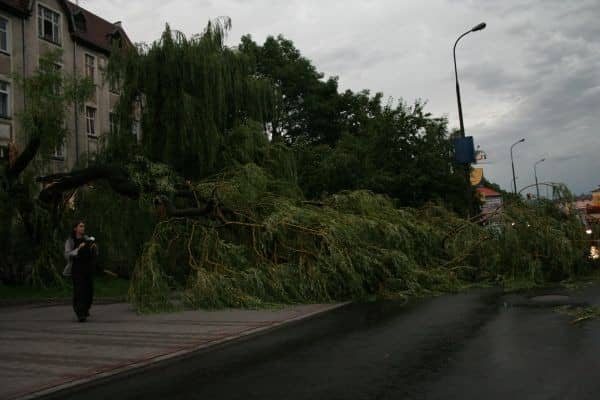 Huragan nad Jelenią Górą – są ofiary w ludziach? – video