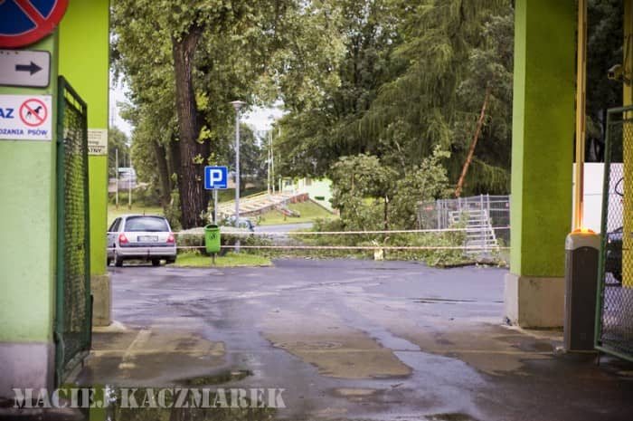 Dzień po, czyli krajobraz po kataklizmie
