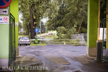 Dzień po, czyli krajobraz po kataklizmie