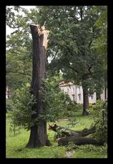 Dzień po, czyli krajobraz po kataklizmie