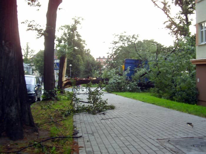 Dzień po, czyli krajobraz po kataklizmie