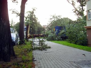 Dzień po, czyli krajobraz po kataklizmie