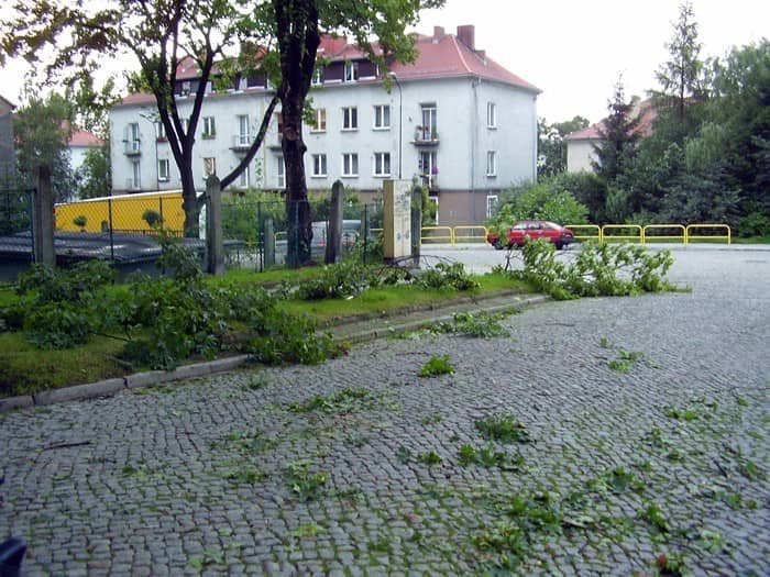 Dzień po, czyli krajobraz po kataklizmie