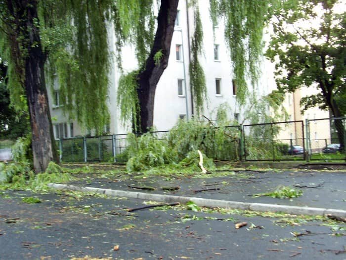 Dzień po, czyli krajobraz po kataklizmie