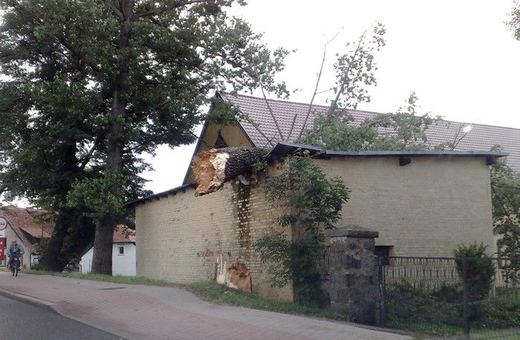 Szacunek strat i usuwanie szkód po nawałnicy