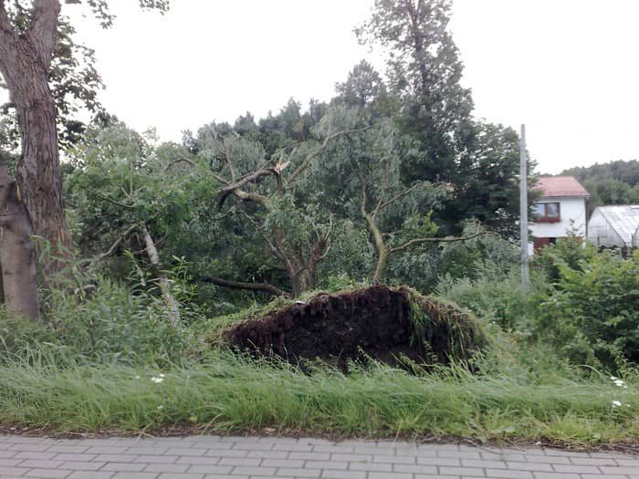 Szacunek strat i usuwanie szkód po nawałnicy