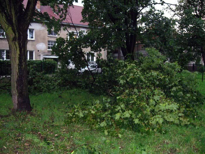 Szacunek strat i usuwanie szkód po nawałnicy