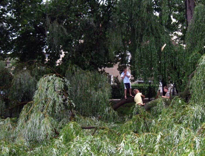 Szacunek strat i usuwanie szkód po nawałnicy