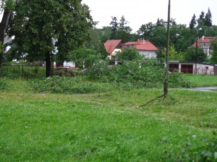 Szacunek strat i usuwanie szkód po nawałnicy
