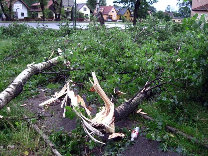 Szacunek strat i usuwanie szkód po nawałnicy