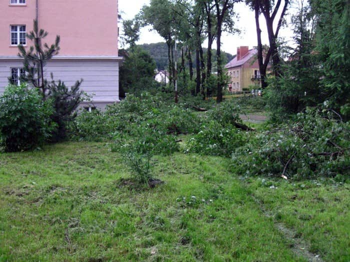 Szacunek strat i usuwanie szkód po nawałnicy