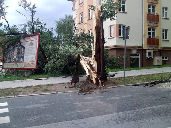 Szacunek strat i usuwanie szkód po nawałnicy